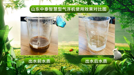 牛蛙養(yǎng)殖到底是豪賭還是造富？用好氣浮機(jī)，禁養(yǎng)危機(jī)就能變轉(zhuǎn)機(jī)?。?）